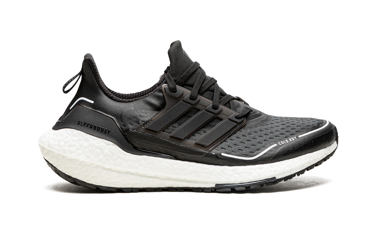 Ultraboost 21 C.RDY "Black Carbon" FZ2558