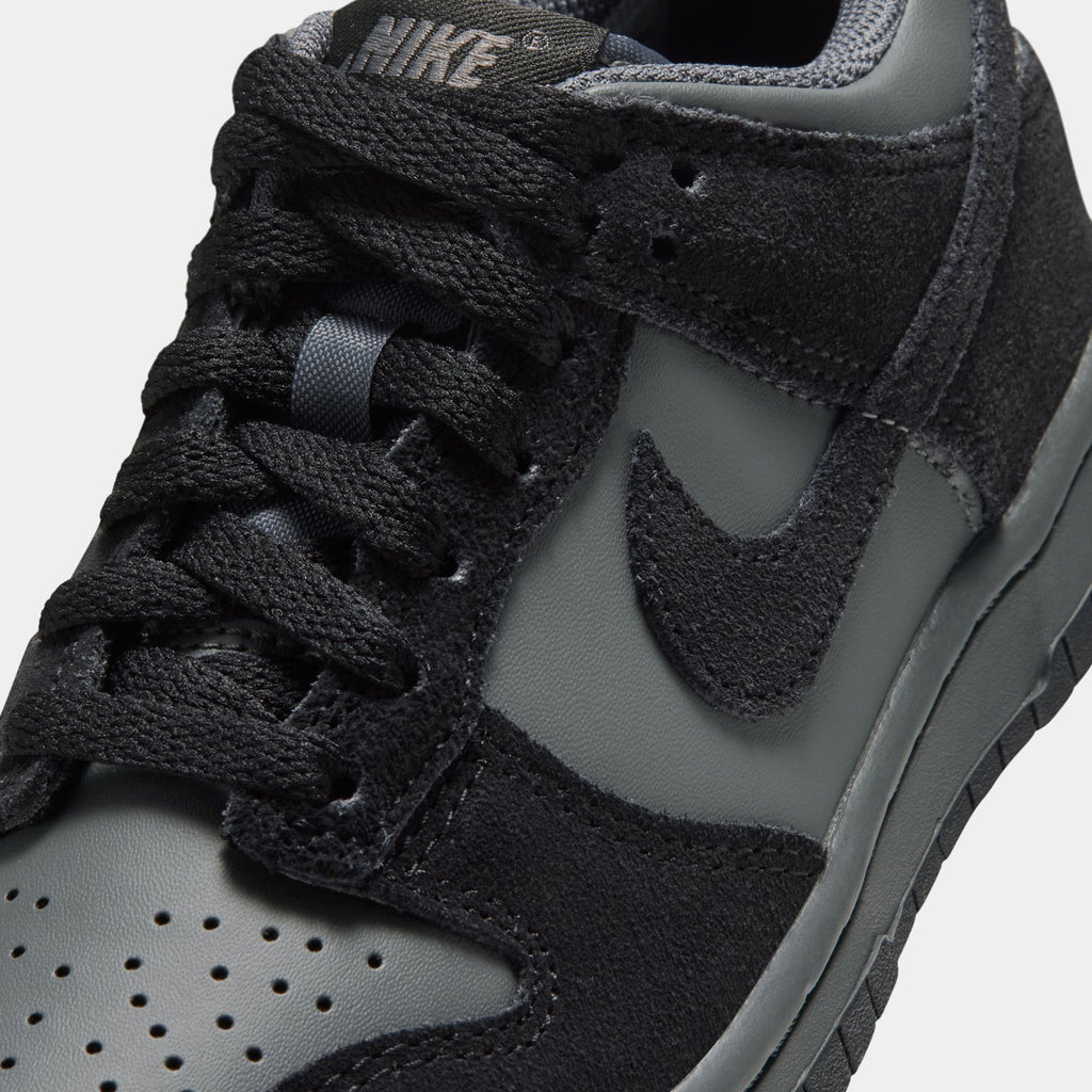 Dunk Low Iron Grey Grade School Lifestyle Shoes (Iron Grey/Black)