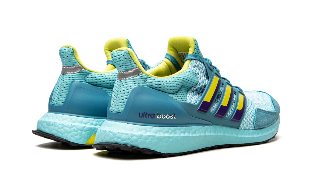 UltraBoost 1.0 DNA "Aqua ZX 8000" H05263