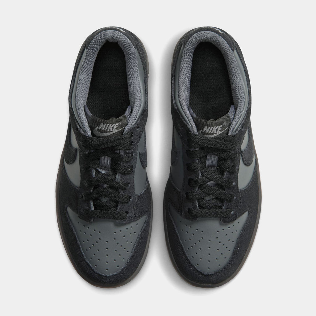 Dunk Low Iron Grey Grade School Lifestyle Shoes (Iron Grey/Black)