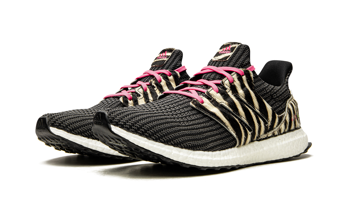 Ultraboost DNA "Animal Pack-Zebra" FZ2730